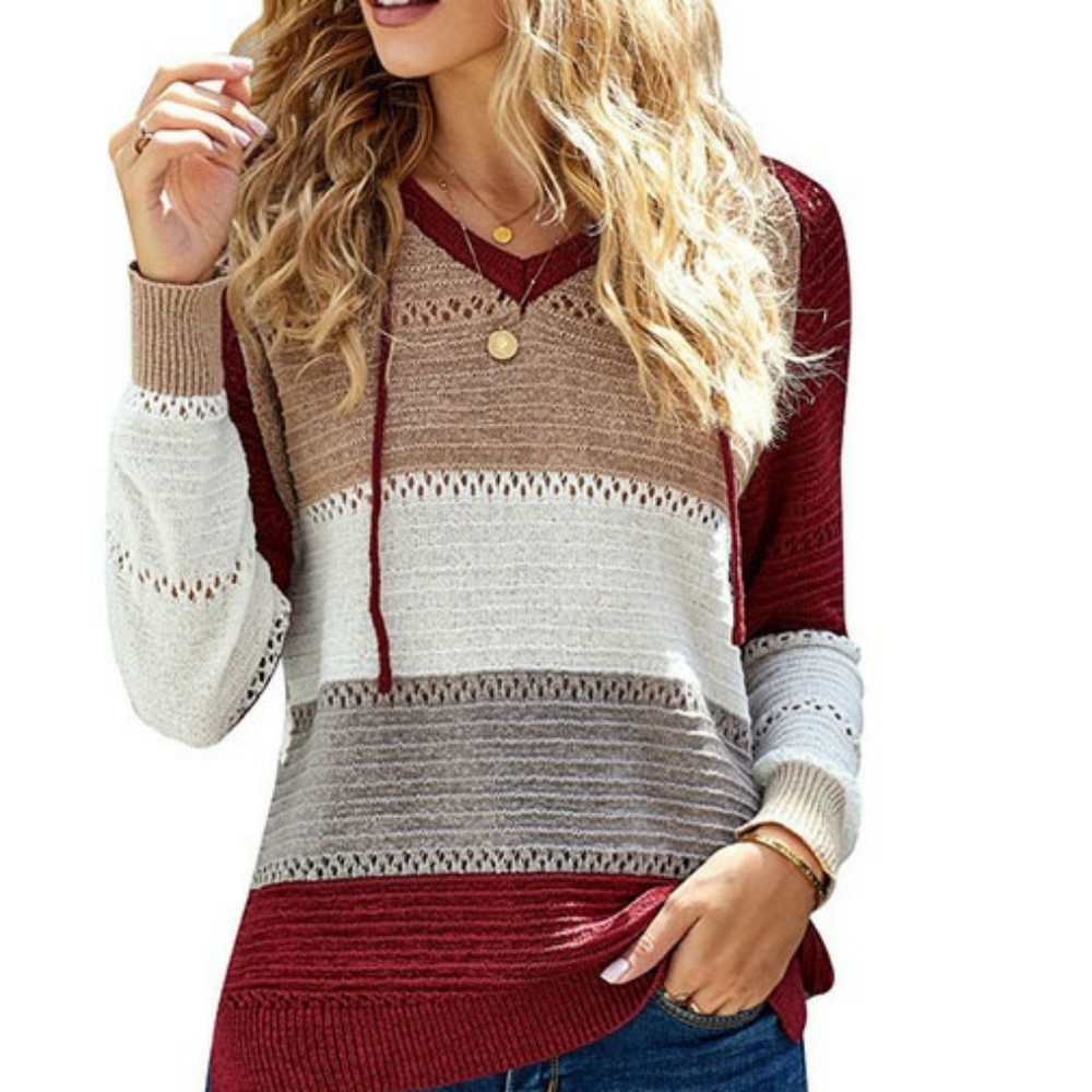 Nwt knit hooded sweater